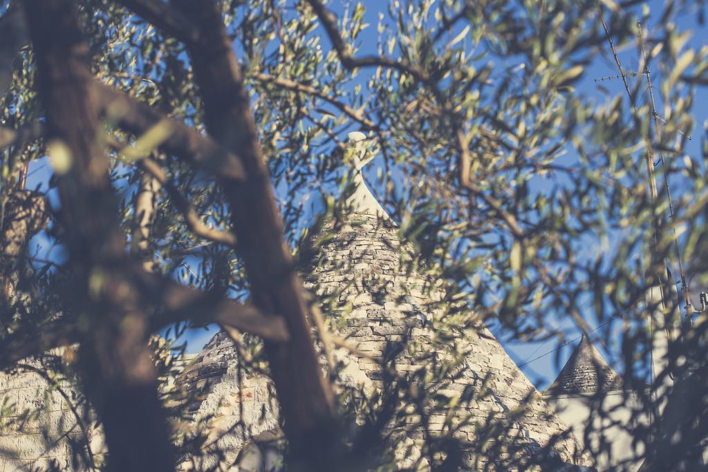 Villa Residenze Nei Trulli Alberobello Exterior foto